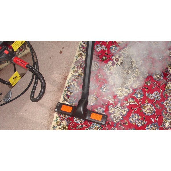 Aspirator profesional cu generator de abur Bieffe Clean Vapor Junior