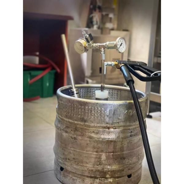 Generator de abur pentru curatenie Bieffe Steam 3000 Vino